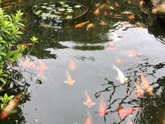 -厦门日月谷温泉渡假村