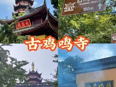 -李百蟹·江南蟹黄面·河景餐厅(夫子庙总店)