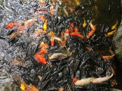 -元启堂·中医正骨推拿·经络足道(夏湾店)