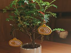-CURRY YA 熟成咖哩專門店(深圳湾万象城店)