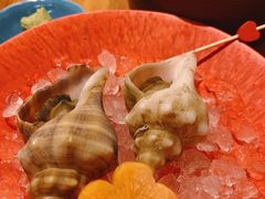 -松涛日本料理