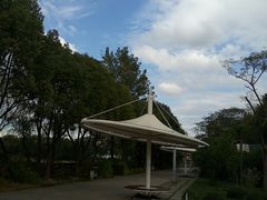 -新江湾城公园