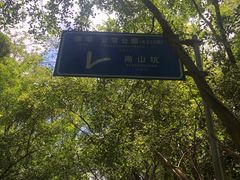 -大屏嶂森林公园