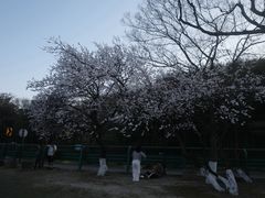 -南北湖风景区