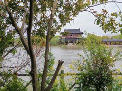 -南汇桃花村