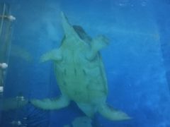 -宁波海洋世界-售票处