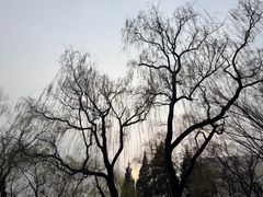 -玲珑塔公园