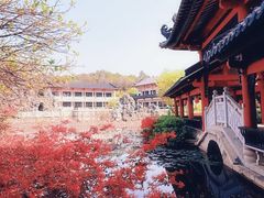 -广东花都湖国家湿地公园