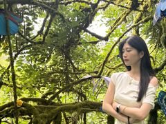 -沂蒙云瀑洞天景区