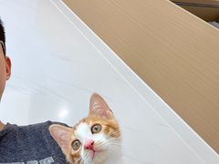 -瑞派康怡24h宠物医院·犬猫医疗中心·微创绝育(瑞景分院)