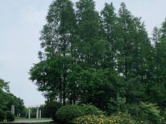 -潜龙渠公园