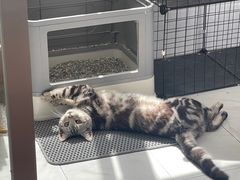 -爱侣宠医·鹦鹉专科·小型哺乳类·异宠专科(灵石路店)