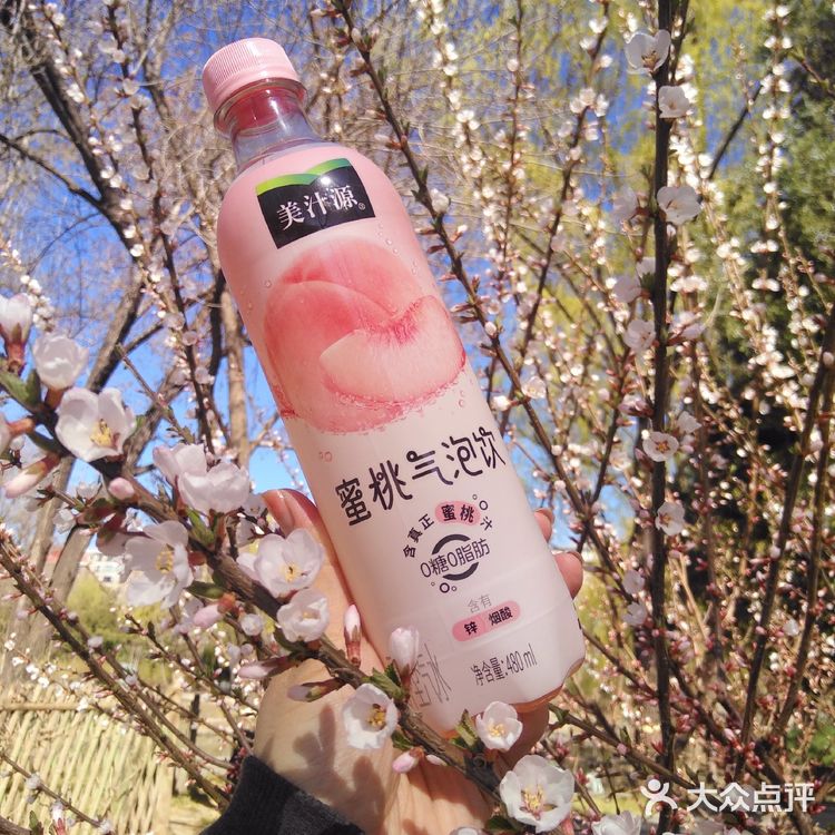 真离谱！好喝的蜜桃气泡饮，居然无人推荐