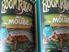 -客栈猫舍(中央北路店)