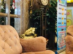 -新碧水留香新桑拿