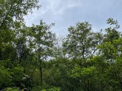 -惠山国家森林公园