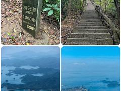 -梧桐山风景名胜区