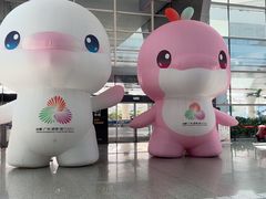 -广州白云国际机场-T2航站楼