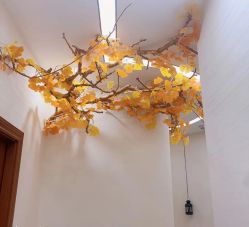 -芳朵美容养生SPA