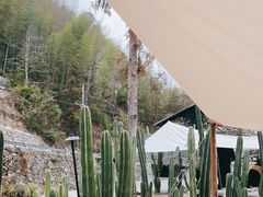 -MOJ coffee(瓯海泽雅水碓坑店)