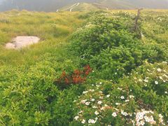 -秦岭风景区