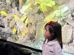 -湖南省地质博物馆