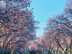 -山东师范大学(千佛山校区)