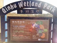 iphone_upload_pic-溱湖国家湿地公园