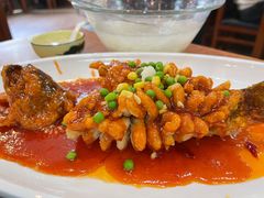松鼠鲈鱼-西新饭店(城中店)