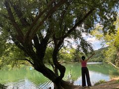 -贵阳市花溪国家城市湿地公园