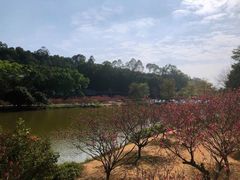 -南国桃园旅游度假区