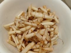 -杨姨妈丝娃娃(花果园店)