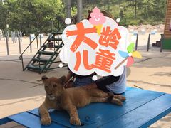 -西霞口神雕山野生动物世界