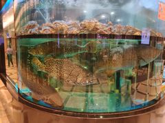 -金翠皇宫粤菜·点心·海鲜(科技园店)
