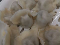 -东北饺子馆(马尾君竹店)