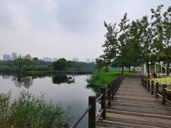 -眉山湿地公园(东坡区)