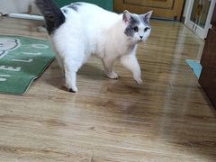 -悠尼宠物·独立低压伊珊娜洗护·美容·寄养(兰谷路店)