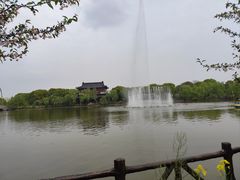 -南汇桃花村