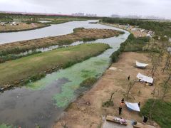 -春花秋色城市公园