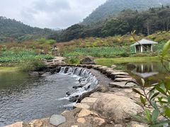 -广州市石门国家森林公园