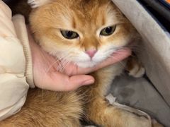 -联合动物医院(光谷诊疗中心)
