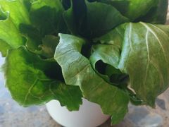 小白菜-小龙坎老火锅(北京三里屯店)