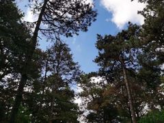 -长春净月潭风景名胜区