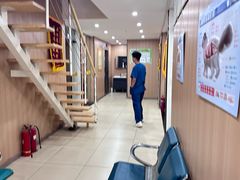 -米苏动物医院·犬猫专科·骨科外科内窥镜