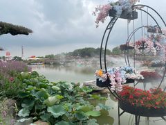 -荷兰花海