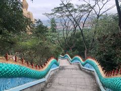 -西双版纳勐泐文化旅游区