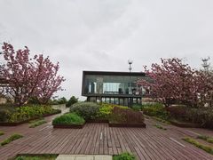 -西京湾花海