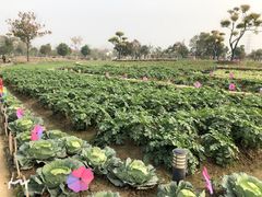 -嬉乐湾休闲旅游区