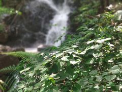 -大雁山风景区