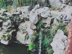 -豫园